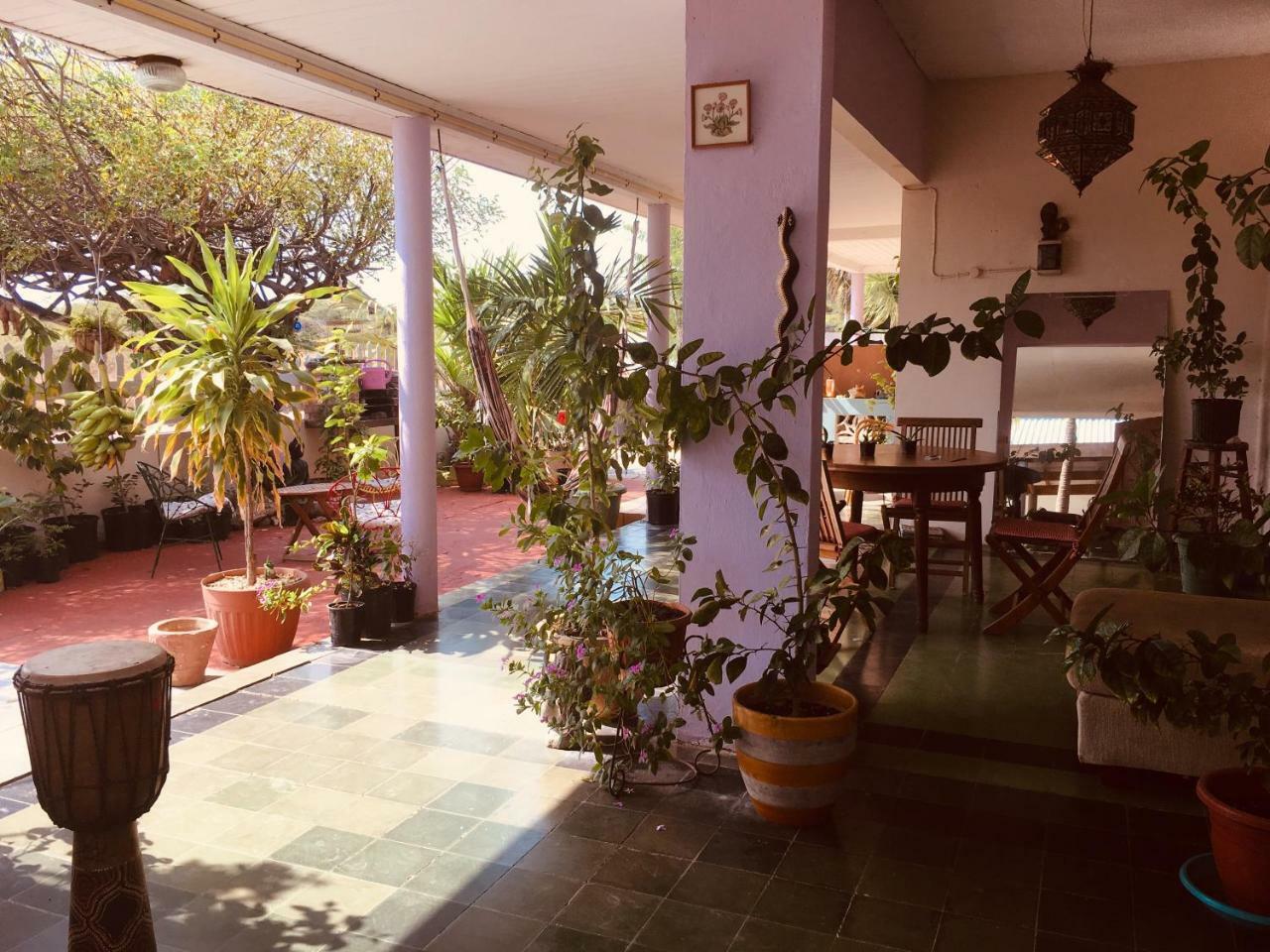 Ferienwohnung Magical Garden Savaneta Exterior foto